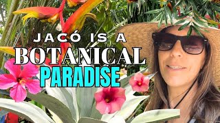 Botanical Tour of Jaco Costa Rica Part 1 [upl. by Lavine]