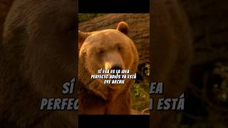 El oso necesita relajarse un poco 🤣  cinematography cine peliculas cineenespañol momentos [upl. by Haff]