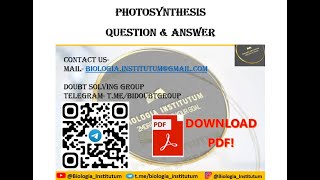 Photosynthesis QnA ll HS SEM II NEET JENPUS CUET UG ll biology [upl. by Yelkreb]