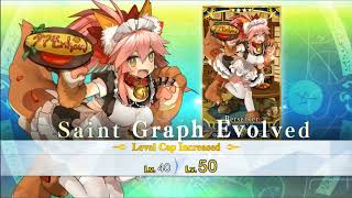 FGO Tamamo Cat ascension 180Lv [upl. by Miett229]