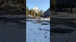 Beautiful view of Naltar valleyshortvideoshortsvideoviralvideoshortsshortsfeedviralshortusa [upl. by Lowrance501]