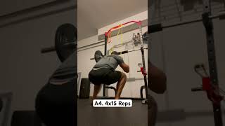 Band Assisted Squat Jumps [upl. by Chaker]