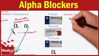 Pharmacology ANS 17 Alpha Blockers  Prazosin Terazosin Doxazosin Tamsulosin and Alfuzosin [upl. by Antipus]