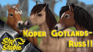 STAR STABLE ONLINE  KÖPER GOTLANDSRUSS [upl. by Renata]