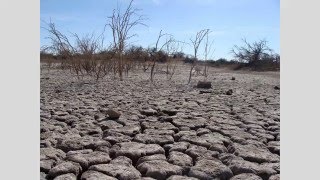 ¿Cuál es la causa de la desertificación [upl. by Tolkan]