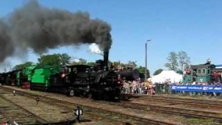 Parada Parowozów Steam Locomotives Parade Wolsztyn 2009 [upl. by Agn]