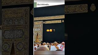 BEST JOB IN THE WORLDmakkah mecca saudiarabiahajj hajj2024umrah kaaba allahuakbar [upl. by Carlynn]