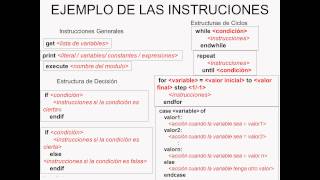 Explicación del Pseudocódigo [upl. by Reaht]