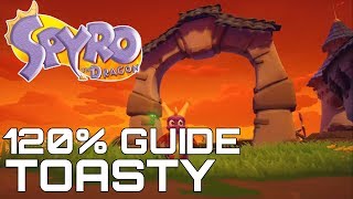 Spyro The Dragon Reignited 120 Guide TOASTY ALL GEMS EGGS DRAGONS [upl. by Free919]