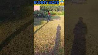 Mini Bunny hope🤯cycle stunt shortfeed viral [upl. by Ayotan]