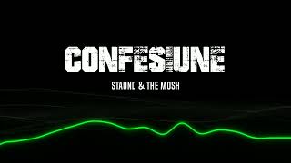 STAUND amp THE MOSH  “CONFESIUNE” 😈 Official Audio [upl. by Arreik461]