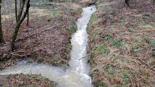 quotThe Trenchquot Managing water coming from a neighboring property [upl. by Eberhard533]