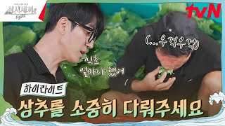 이거 왜 이래 설비부 해진의 상추 씻는 법 highlight 삼시세끼Light EP7 [upl. by Rattan]