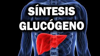 GLUCÓGENOGÉNESIS explicado paso a paso😎😎 Síntesis de Glucógeno [upl. by Deroo637]