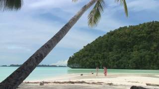 PALAU A Taste of Paradise [upl. by Ain145]