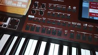 korg pa700 oriental add pads to style اضافة البادز الى الايقاع [upl. by Bakeman444]