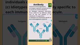 shorts biologyshorts variantsofimmunoglobulin antibody isotype allotype idiotype viralshorts [upl. by Torhert]