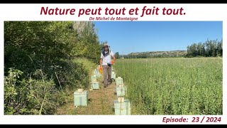 En apiculture la nature peut tout et fait toutapiculteurlesabeillesdefred07apicultureabeille [upl. by Nelg]