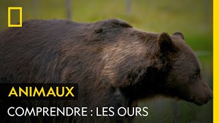 COMPRENDRE  Les ours [upl. by Atival490]