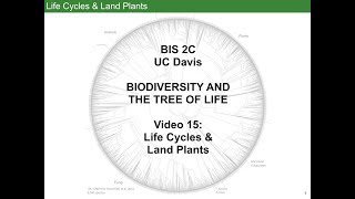 Life Cycles and Land Plants [upl. by Elimac]