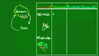 Oxiurose  Parasitologia  Biologia [upl. by Omar]