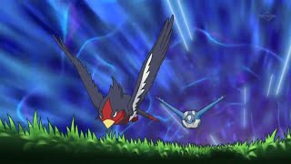 Pokemon Battle  Latios vs Swellow [upl. by Kyre]