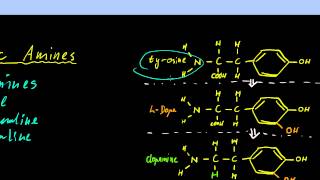 Part 11  Neurotransmitters and Neuromodulators [upl. by Kirsch]