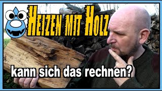 🔥Brennholz im Vergleich zu Gas Heizöl Pellets und Strom🤔 kann sich heizen mit Holz rechnen [upl. by Skylar]