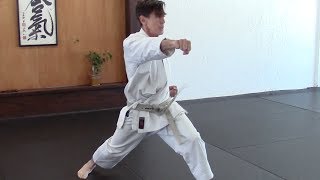 ten no kata  introduction [upl. by Pedersen]