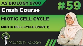 Mitotic Cell Cycle Part 1  Mitotic Cell Cycle  9700 AS Biology UrduHindi [upl. by Bohannon]