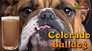 Colorado Bulldog [upl. by Winifield]