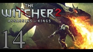 Witcher 2 Playthrough PC  Part 14  Kayran  A Matter Of Price [upl. by Yerroc304]