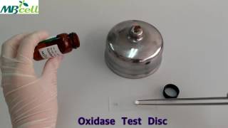 Oxidase Test Disc [upl. by Neuberger910]