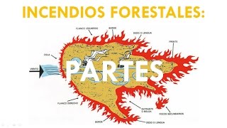 INCENDIOS FORESTALES PARTES [upl. by Agate]