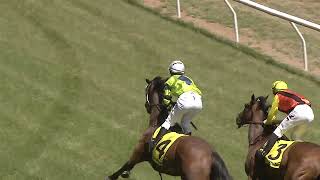 Tumut 02 11 2024 Race 1 [upl. by May]