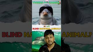 😨How Dolphin 🐬 saves Ganga 🏞️River🤔 [upl. by Arries967]