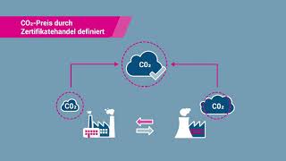 So funktioniert der Emissionshandel [upl. by Ycak]