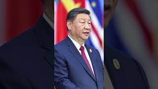 Brasil Vai Acessar MUITOS Mercados Após Visita De Xi Jinping [upl. by Fallon]