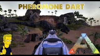 ARK PHEROMONE DART  DINO RAGE [upl. by Anyaj710]