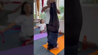 Head stand shirshasanayoutubeshorts yoga yogateacher yogapractice headstand fitness music [upl. by Feliks]