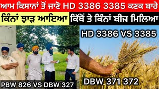 HD 3386  3385 Wheat Varieties … DBW 370  371  PBW 826 VS DBW 327 ਕਿਹੜੀ ਕਿਸਮ ਰਹੀ ਟੌਪ ਤੇ [upl. by Ralaigh201]