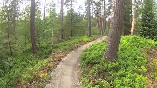 Anagach Woods MTB Trails Grantown on Spey [upl. by Gurias826]