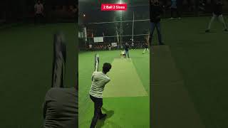 cricket viral onehandsix [upl. by Novyert541]