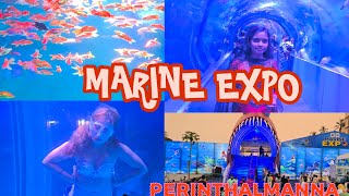 Perinthalmanna Marine Expo 2024🧜‍♀️🧞‍♀️🐟🐠🦭 [upl. by Lleynad]