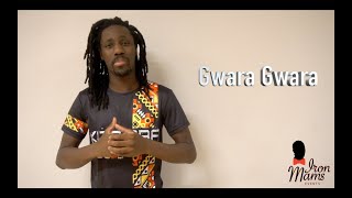 How to Gwara Gwara Afro Dance Tutorial  Iron Mams [upl. by Augustine]