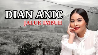 Dian Anic  Jaluk Imbuh Lagu Tarling Cirebonan 2024 [upl. by Yekram]