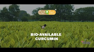 CurQfen ®  Beyond Bioavailability  Bio available curcumin [upl. by Aveneg]