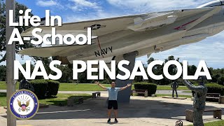 Joining the Navy at 30  A School  NAS Pensacola  Summer 2021 [upl. by Yxel]