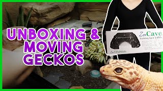 UNBOXING amp PREPARING GECKOS TO MOVE  Zen Habitats Reptile Room amp More [upl. by Yolane]