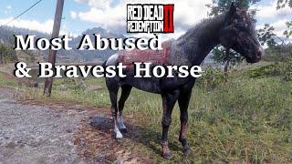 Scarred Black Rabicano  Unique Horse in Red Dead Redemption 2 [upl. by Oam171]